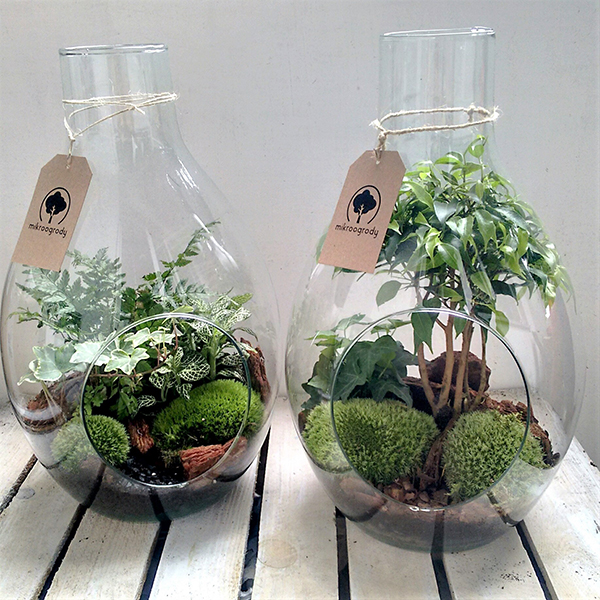 Terrarium Garden
